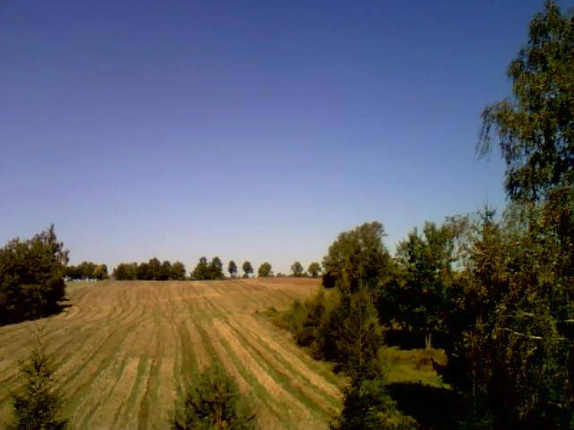 z mego okna - montocane