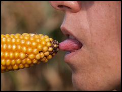 sprawdzmy do czego sie nadaje