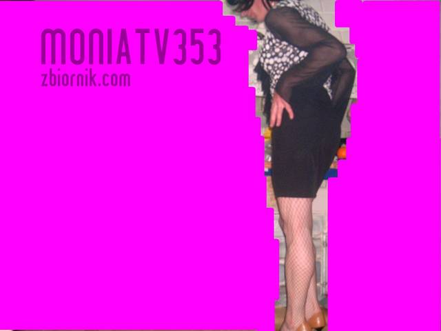 HPIM1947.JPG - Moniatv353