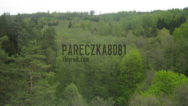 IMG_3782.JPG - pareczka8081