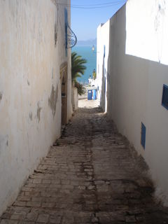 P7310384.JPG