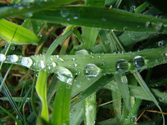 DSC05760.JPG