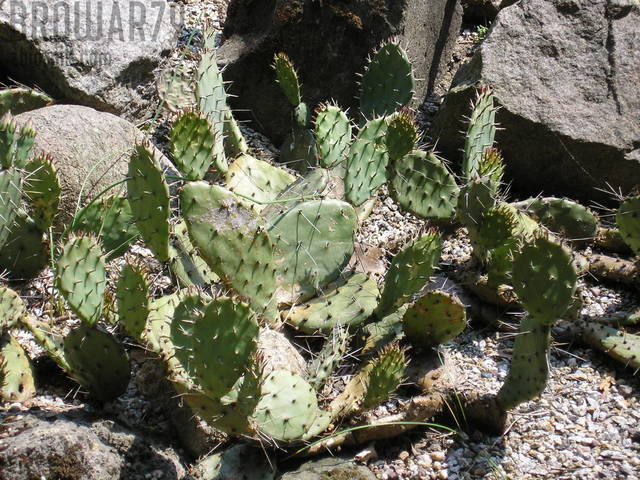 P1010192.JPG - browar79