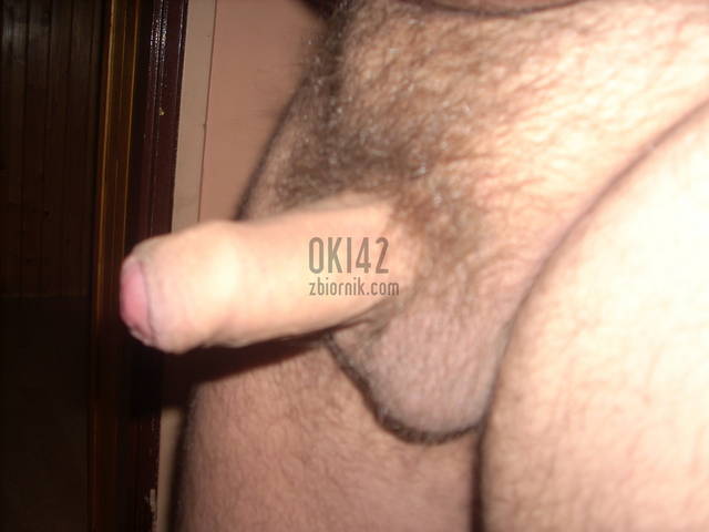 DSCN0019.JPG - oki42