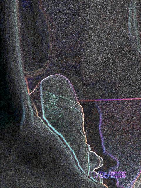 100_2042.JPG - parasex29