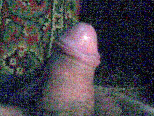 10112009.jpg - fan0000