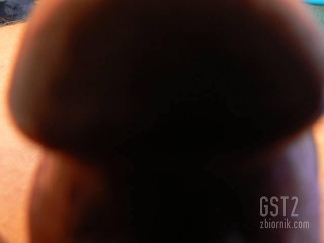 Gdy bardzo chce - gst2