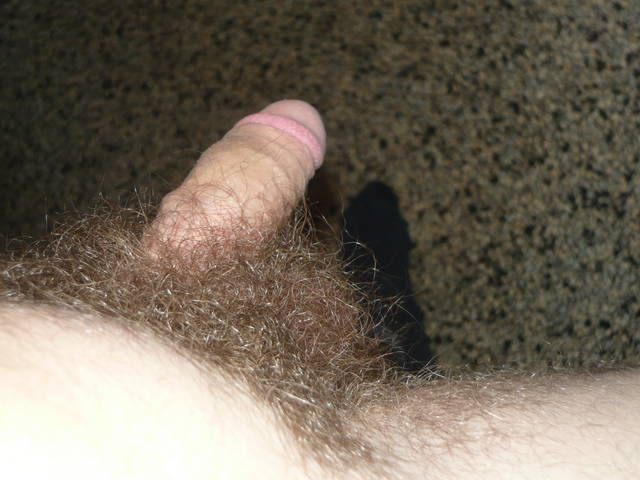 ;p - mc569