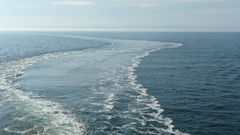 Piłeś!!! nie płyń