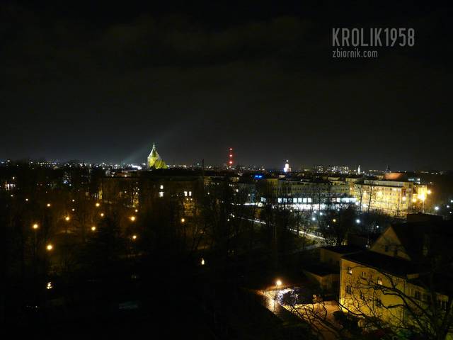 krolik1958