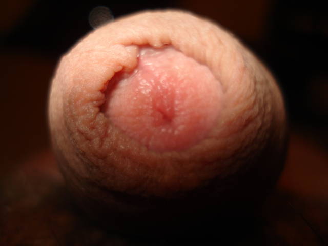 Kurczaczek - 1234biczy