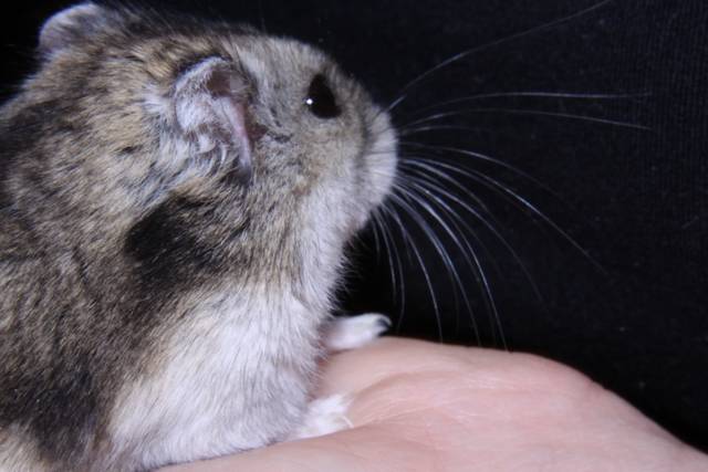 IMG_3870.jpg - eik1975