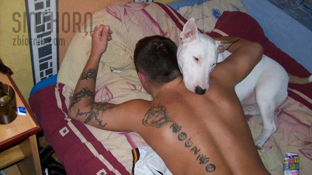najf tatu.jpg - sinthorn