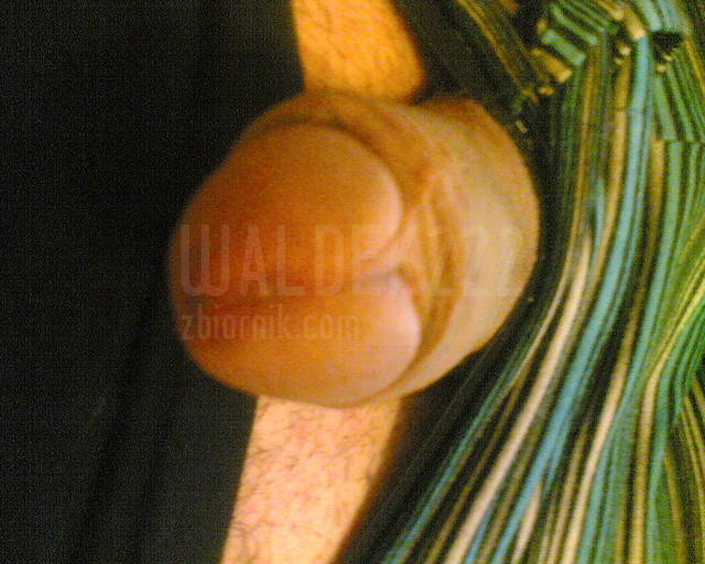 Zdjęcie001.jpg - waldek222