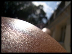 ...........................