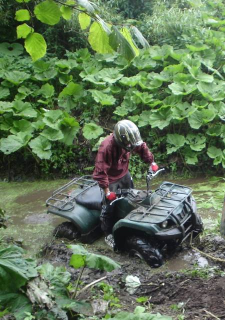 DSC00343.popr.JPG - coolemanuel