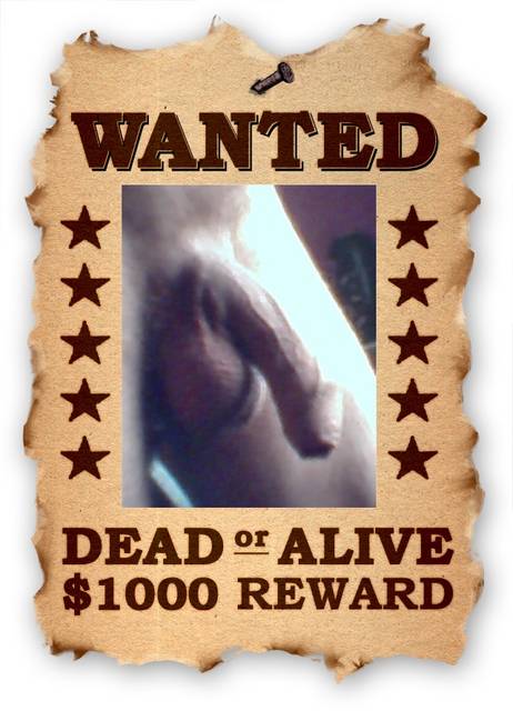 caly on.jpg - inkognito