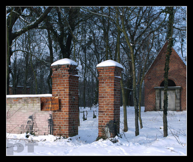 ZAKAZ WYRZUCANIA śMIECI - panfoto