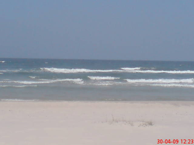 GRZYBOWO  - PARAdlaPARY2631