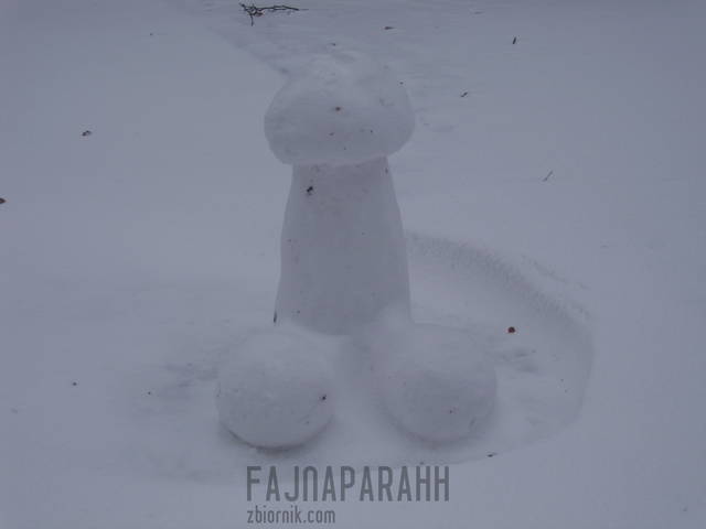 Fajowy zimowy.jpg - fajnaparaHH