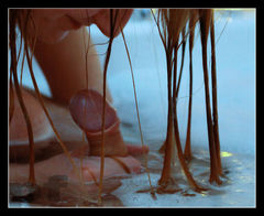 Z WSZYSTKICH STRON OTOCZONY