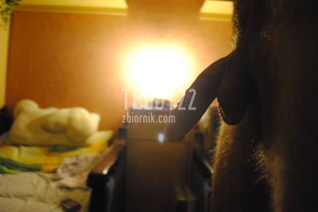 _DSC0635.JPG - Teddy22