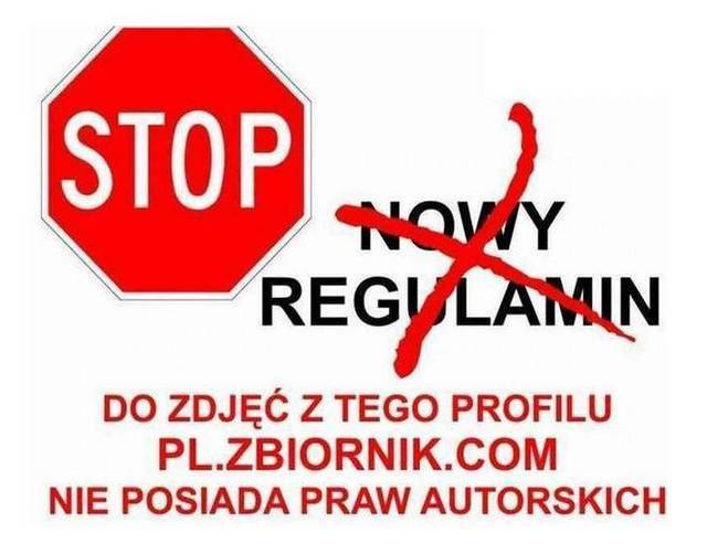 41aadec2eeb7313c453e9c4d4a8fc594.jpg - mike79_b