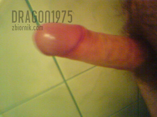 nowy 150.jpg - dragon1975