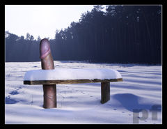 ..."SIĄDŹ, A ODPOCZNIJ SOBIE, NIE DOJDZIE CIĘ TU SŁOŃCE"...