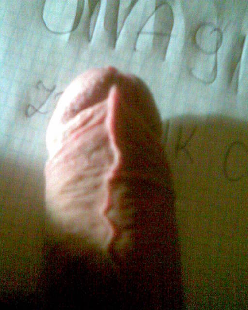 Obraz 015.jpg - link77