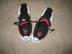 IMG_0900.jpg