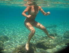 Rekiny są wśród nas