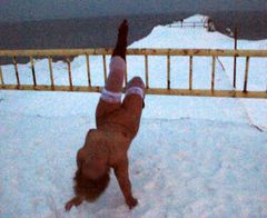 wyginam śmiało ciało... :-)