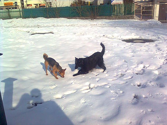 zima w mieście - madzia90