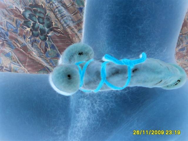 S5002668.JPG - marek13mark