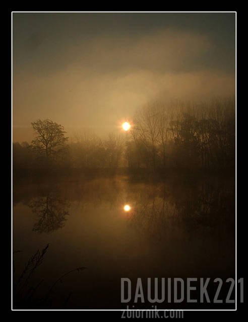 mgła... - dawidek221