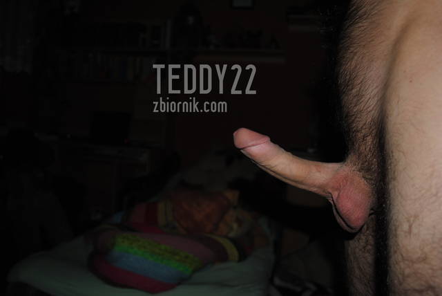 DSC_0732.JPG - Teddy22