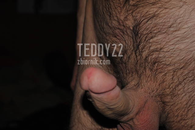 DSC_0736.JPG - Teddy22