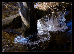 PANIOM, PANNOM I PANIENKOM