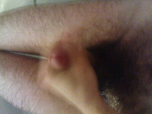 DSC00317.JPG - pawlo33