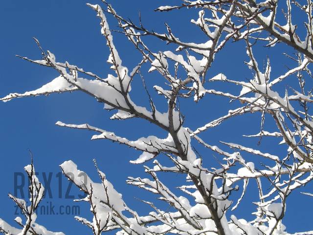 WIOSNA 2010 ??!! -1 - rex123