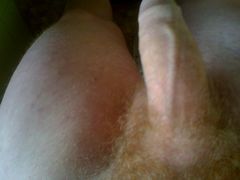 IMG_0499.jpg