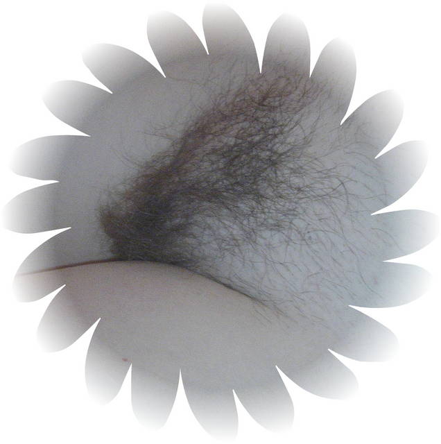 zaroscik - inkognito