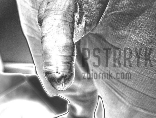 nie wiem co tu nabazgrać ;) - pstrryk