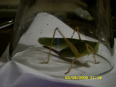 NO I SKOŃCZYłO SIĘ RUMAKOWANIE....