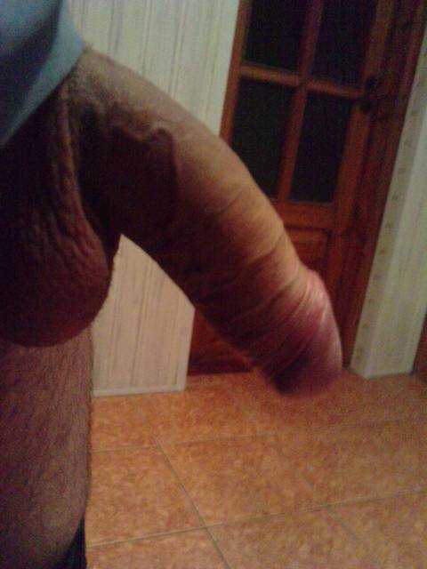 P260310_23.130001.JPG - robertswietokrz