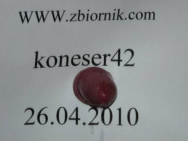koneser42