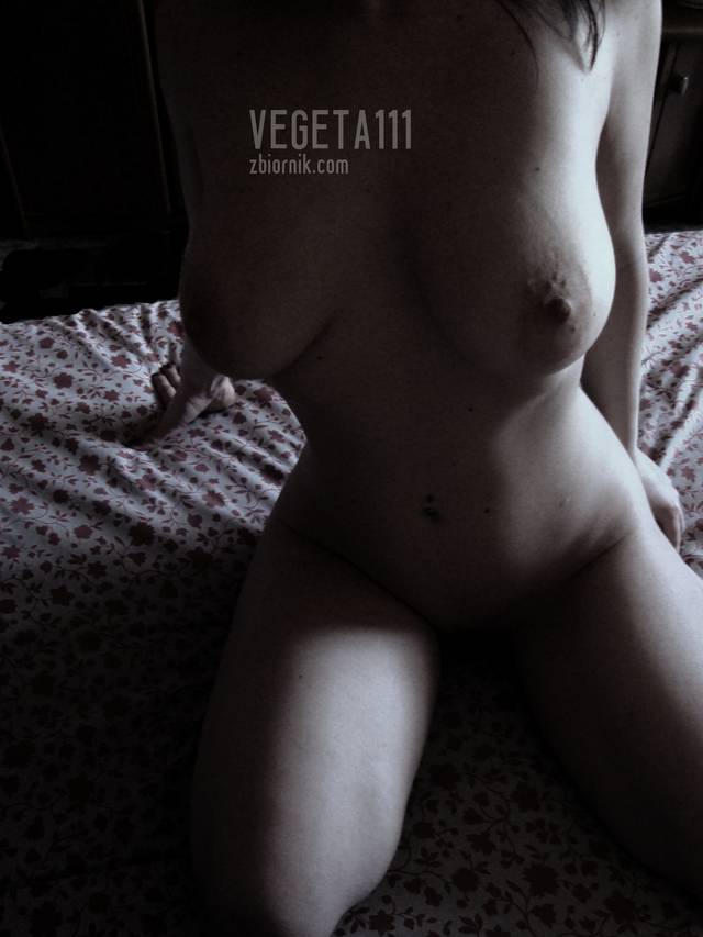 vegeta111