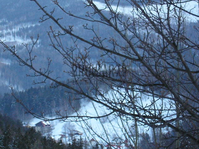 czas sentymentu - browar79