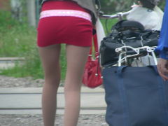 święto dyszla (dzień targowy)